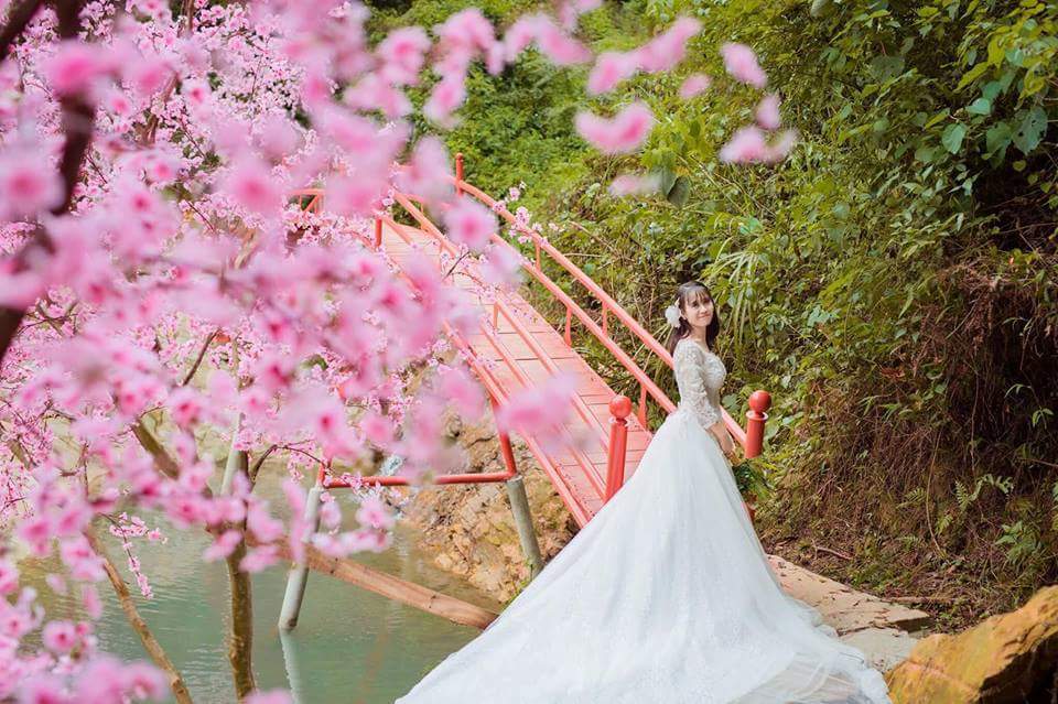 Khu du lịch sinh thái Thiên Phú Lâm, địa điểm du lịch bụi thú vị - Du lịch Việt Nam - du lịch bụi địa điểm du lịch bụi gần Hà Nội Khu du lịch sinh thái Thiên Phú Lâm Sóc Sơn Thiên Phú Lâm Khu du lịch sinh thái Thiên Phú Lâm, địa điểm du lịch bụi thú vị - Du lịch Việt Nam - du lịch bụi địa điểm du lịch bụi gần Hà Nội Khu du lịch sinh thái Thiên Phú Lâm Sóc Sơn Thiên Phú Lâm