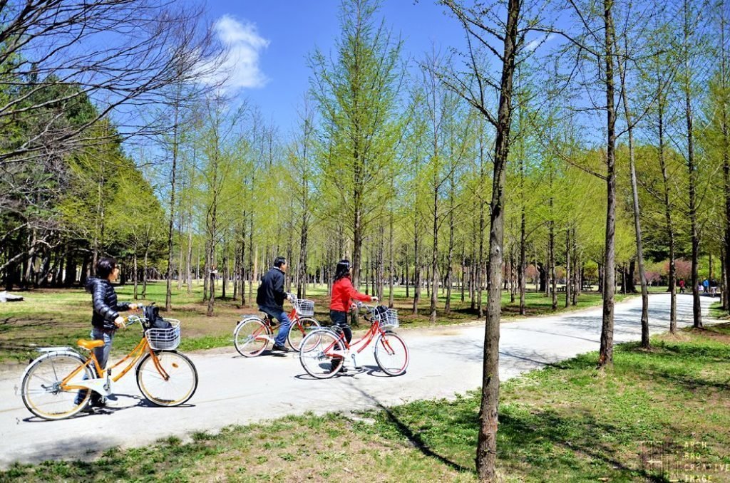 4 địa điểm du lịch Hàn Quốc mùa hè đẹp quên lối về - Du Lịch Châu Á - Busan du lịch hàn quốc đảo Jeju đảo Nami Địa điểm du lịch Hàn Quốc hàn quốc Seoul 4 địa điểm du lịch Hàn Quốc mùa hè đẹp quên lối về - Du Lịch Châu Á - Busan du lịch hàn quốc đảo Jeju đảo Nami Địa điểm du lịch Hàn Quốc hàn quốc Seoul