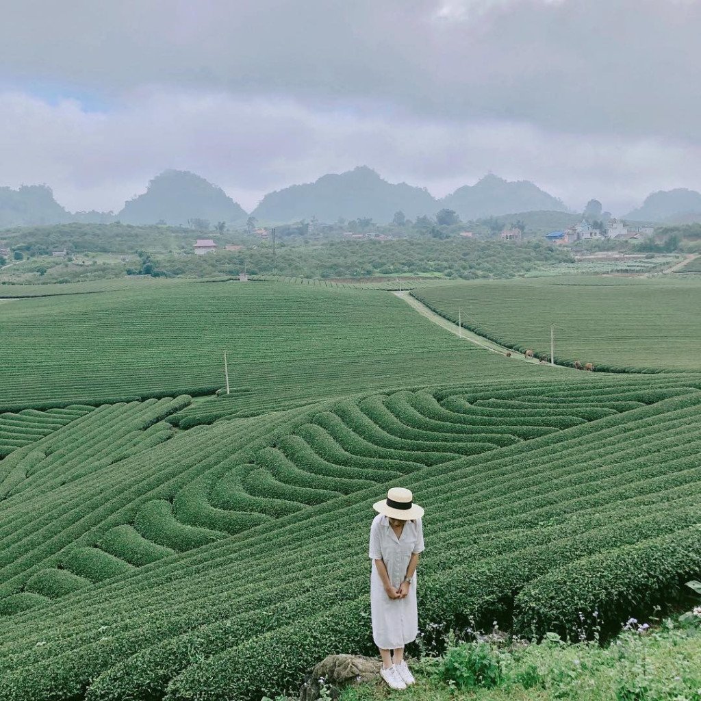 4 địa điểm du lịch Việt Nam tuyệt vời vào tháng 3 - Du lịch Việt Nam - du lịch việt nam Đà Lạt đĩa điểm du lịch Việt Nam địa điểm du lịch Việt Nam tháng 3 Mộc Châu Ninh Bình Phú Quốc tháng 3 nên đi đâu 4 địa điểm du lịch Việt Nam tuyệt vời vào tháng 3 - Du lịch Việt Nam - du lịch việt nam Đà Lạt đĩa điểm du lịch Việt Nam địa điểm du lịch Việt Nam tháng 3 Mộc Châu Ninh Bình Phú Quốc tháng 3 nên đi đâu