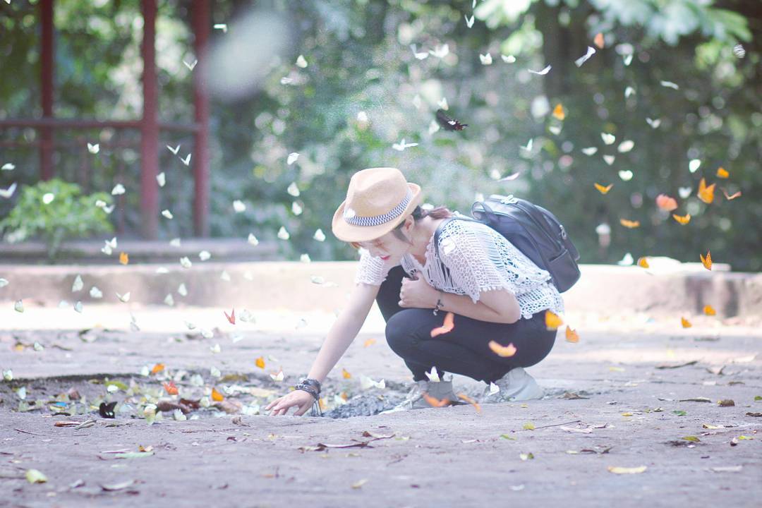 Kinh nghiệm săn bướm Vườn Quốc gia Cúc Phương đẹp như cổ tích - Du lịch Việt Nam - Du lịch Ninh Bình kinh nghiệm săn bướm săn bướm Vườn Quốc gia Cúc Phương Vườn Quốc Gia Cúc Phương Kinh nghiệm săn bướm Vườn Quốc gia Cúc Phương đẹp như cổ tích - Du lịch Việt Nam - Du lịch Ninh Bình kinh nghiệm săn bướm săn bướm Vườn Quốc gia Cúc Phương Vườn Quốc Gia Cúc Phương