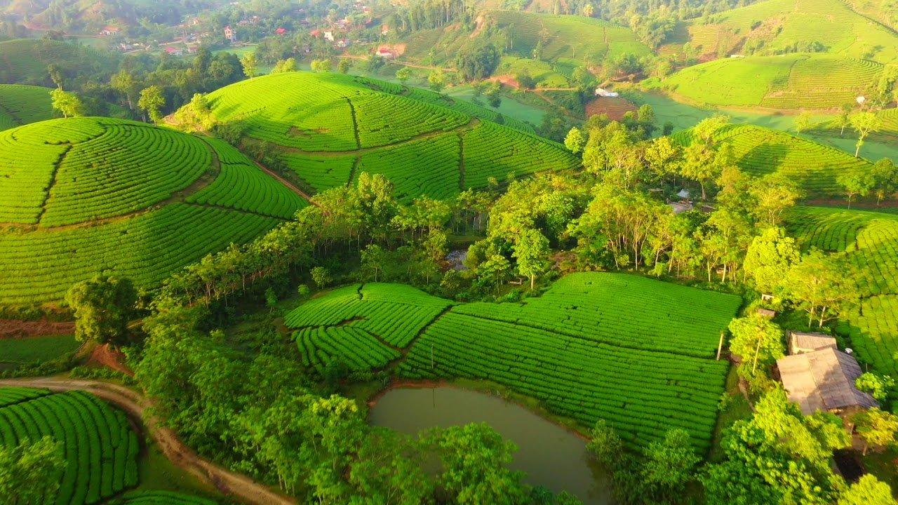 5 địa điểm du lịch Phú Thọ sở hữu khung cảnh hoang sơ và thơ mộng - Du lịch Việt Nam - Cầu đi bộ du lịch Phú Thọ Đầm Ao Châu địa điểm du lịch Phú Thọ Đồi chè Long Cốc Hồ Ly Vườn quốc gia Xuân Sơn 5 địa điểm du lịch Phú Thọ sở hữu khung cảnh hoang sơ và thơ mộng - Du lịch Việt Nam - Cầu đi bộ du lịch Phú Thọ Đầm Ao Châu địa điểm du lịch Phú Thọ Đồi chè Long Cốc Hồ Ly Vườn quốc gia Xuân Sơn