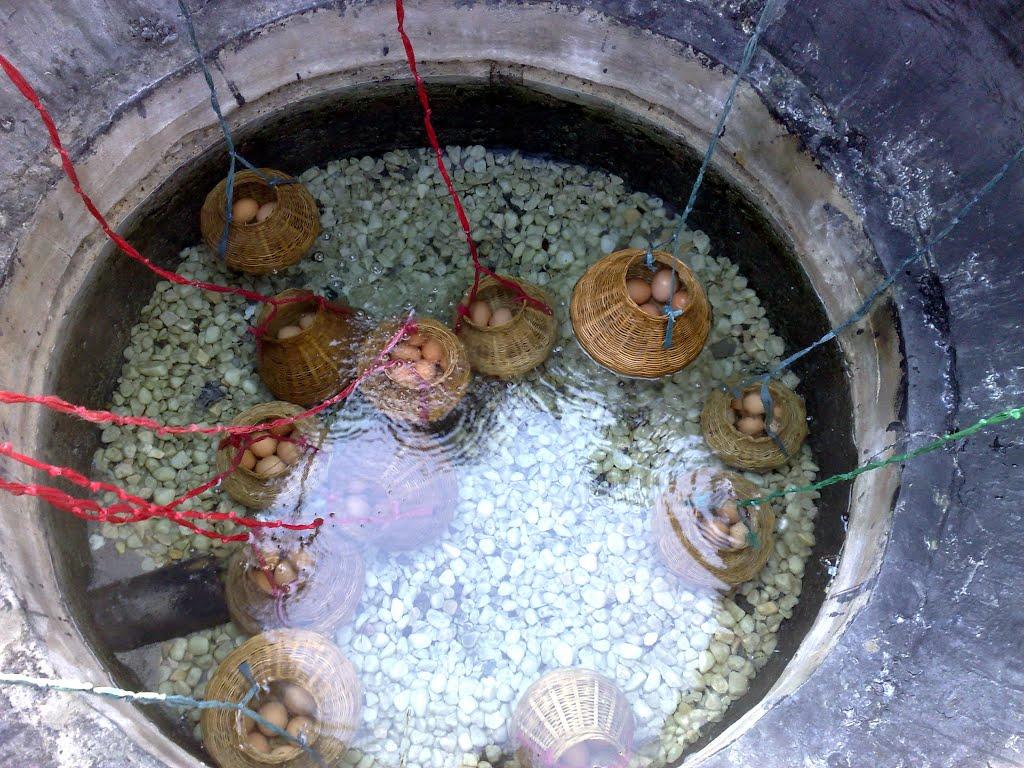 6 suối nước nóng ở Việt Nam thích hợp thư giãn và ngắm cảnh - Du lịch Việt Nam - Suối nước nóng Bình Châu Suối nước nóng Kim Bôi Suối nước nóng núi Thần Tài suối nước nóng ở Việt Nam Suối nước nóng Thanh Tân Suối nước nóng Tiên Lãng Suối nước nóng Trạm Tấu 6 suối nước nóng ở Việt Nam thích hợp thư giãn và ngắm cảnh - Du lịch Việt Nam - Suối nước nóng Bình Châu Suối nước nóng Kim Bôi Suối nước nóng núi Thần Tài suối nước nóng ở Việt Nam Suối nước nóng Thanh Tân Suối nước nóng Tiên Lãng Suối nước nóng Trạm Tấu