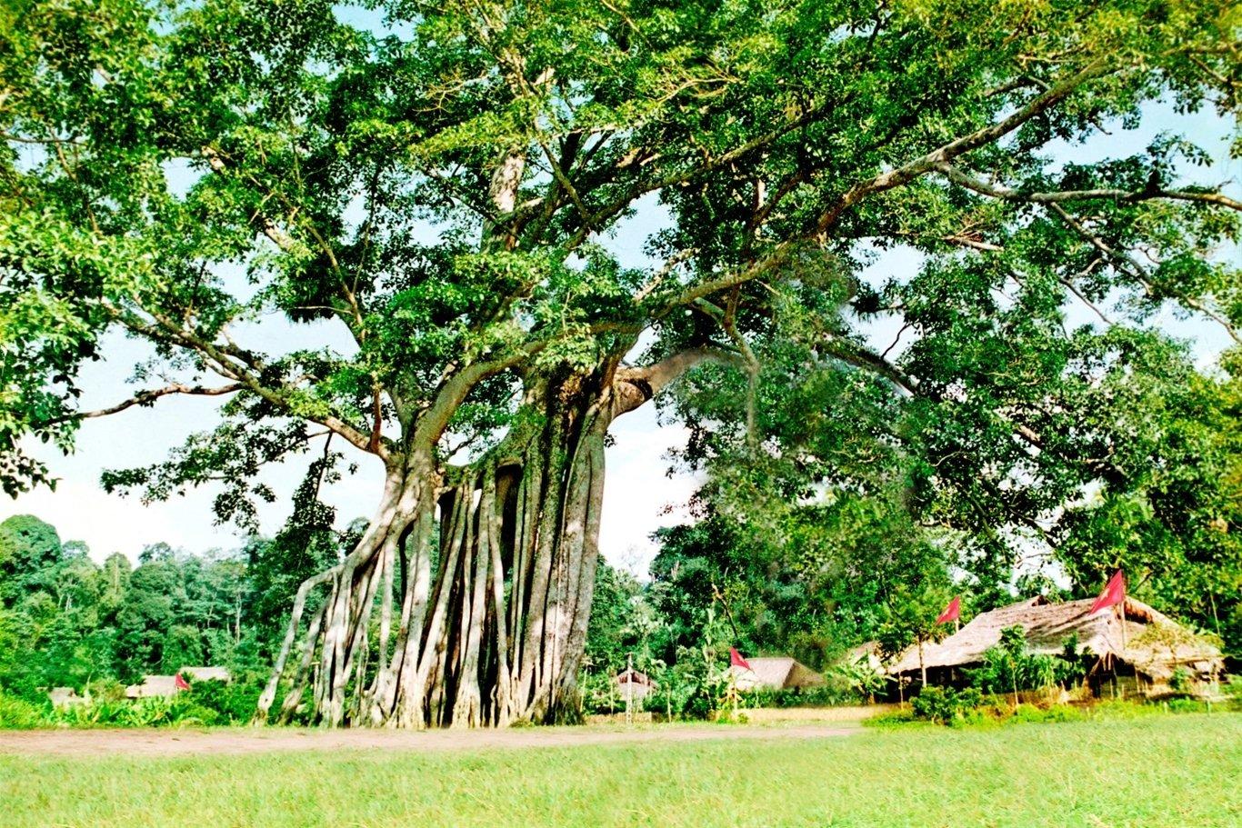 5 địa điểm du lịch Tuyên Quang nổi tiếng hấp dẫn mọi du khách - Du lịch Việt Nam - du lịch Du lịch Tuyên Quang địa điểm du lịch Tuyên Quang hồ Na Hang Khu di tích Tân Trào suối khoáng Mỹ Lâm Thác Bản Ba thác Mơ 5 địa điểm du lịch Tuyên Quang nổi tiếng hấp dẫn mọi du khách - Du lịch Việt Nam - du lịch Du lịch Tuyên Quang địa điểm du lịch Tuyên Quang hồ Na Hang Khu di tích Tân Trào suối khoáng Mỹ Lâm Thác Bản Ba thác Mơ