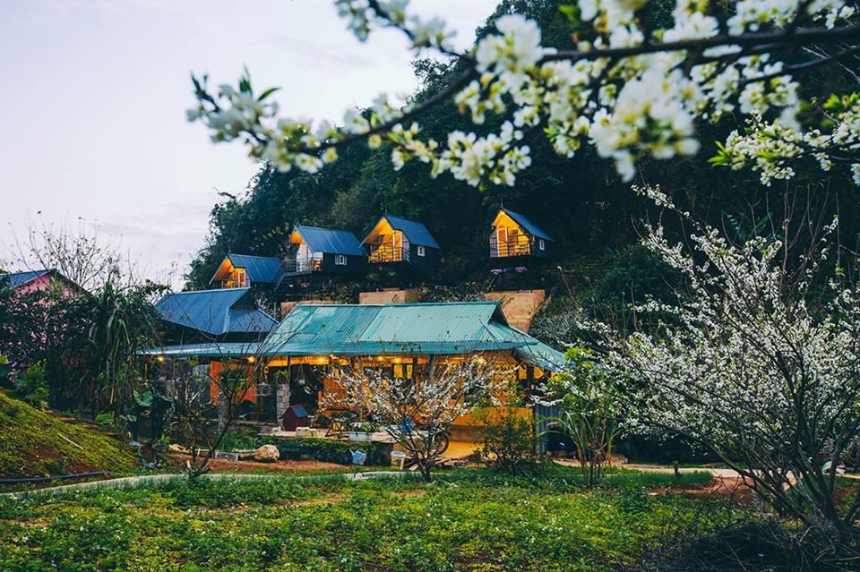 4 homestay view đẹp ở Mộc Châu hút hồn mọi du khách - Khách sạn - Homestay - homestay ở Mộc Châu homestay view đẹp ở Mộc Châu Mộc Châu Mộc Châu Hobbiton Homestay Mộc Châu Top Hill Homestay Phố Núi Tình Yêu Homestay Thung Lũng Ba Đồi Chè Homestay 4 homestay view đẹp ở Mộc Châu hút hồn mọi du khách - Khách sạn - Homestay - homestay ở Mộc Châu homestay view đẹp ở Mộc Châu Mộc Châu Mộc Châu Hobbiton Homestay Mộc Châu Top Hill Homestay Phố Núi Tình Yêu Homestay Thung Lũng Ba Đồi Chè Homestay