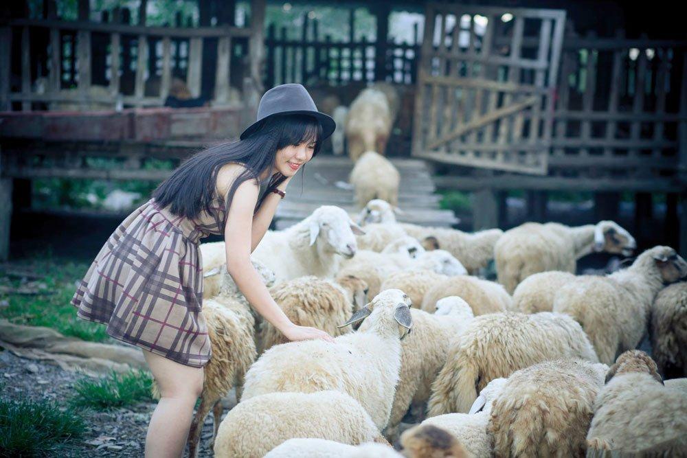 4 cánh đồng cừu ở Việt Nam siêu đáng yêu khiến du khách thích mê - Du lịch Việt Nam - Cánh đồng cừu An Hòa cánh đồng cừu ở Việt Nam Cánh đồng cừu Suối Nghệ Đồng cừu Thảo nguyên hoa Long Biên Trại cừu Đồng Lách 4 cánh đồng cừu ở Việt Nam siêu đáng yêu khiến du khách thích mê - Du lịch Việt Nam - Cánh đồng cừu An Hòa cánh đồng cừu ở Việt Nam Cánh đồng cừu Suối Nghệ Đồng cừu Thảo nguyên hoa Long Biên Trại cừu Đồng Lách
