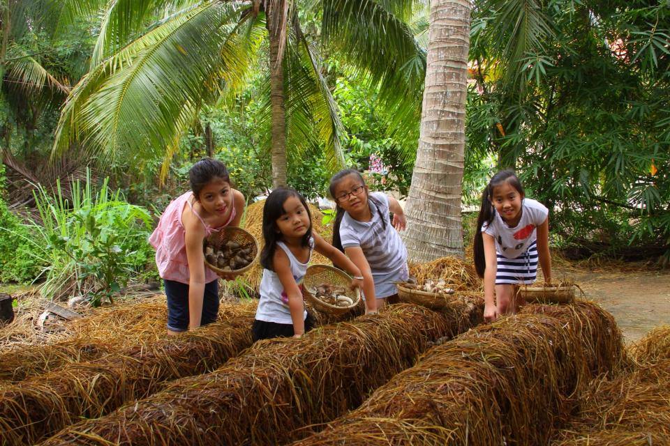 4 homestay ở Bến Tre có không gian mới lạ và độc đáo - Du lịch Việt Nam - Ben Tre Farm Homestay Cocohut Homestay du lịch Bến Tre homestay ở Bến Tre Jardin Du Mekong Homestay Về Nhà Homestay 4 homestay ở Bến Tre có không gian mới lạ và độc đáo - Du lịch Việt Nam - Ben Tre Farm Homestay Cocohut Homestay du lịch Bến Tre homestay ở Bến Tre Jardin Du Mekong Homestay Về Nhà Homestay