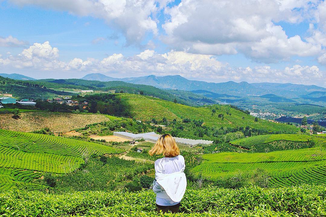 6 đồi chè xanh mướt ở Việt Nam cực thơ mộng và tươi đẹp - Du lịch Việt Nam - Đồi chè Cầu Đất Đồi chè Đông Giang Đồi chè Mộc Châu Đồi chè Pleiku Đồi chè Suối Giàng Đồi chè Thanh Chương đồi chè xanh mướt ở Việt Nam 6 đồi chè xanh mướt ở Việt Nam cực thơ mộng và tươi đẹp - Du lịch Việt Nam - Đồi chè Cầu Đất Đồi chè Đông Giang Đồi chè Mộc Châu Đồi chè Pleiku Đồi chè Suối Giàng Đồi chè Thanh Chương đồi chè xanh mướt ở Việt Nam