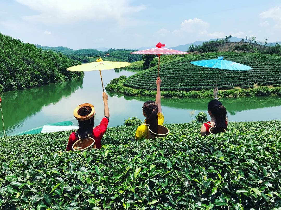 6 đồi chè xanh mướt ở Việt Nam cực thơ mộng và tươi đẹp - Du lịch Việt Nam - Đồi chè Cầu Đất Đồi chè Đông Giang Đồi chè Mộc Châu Đồi chè Pleiku Đồi chè Suối Giàng Đồi chè Thanh Chương đồi chè xanh mướt ở Việt Nam 6 đồi chè xanh mướt ở Việt Nam cực thơ mộng và tươi đẹp - Du lịch Việt Nam - Đồi chè Cầu Đất Đồi chè Đông Giang Đồi chè Mộc Châu Đồi chè Pleiku Đồi chè Suối Giàng Đồi chè Thanh Chương đồi chè xanh mướt ở Việt Nam