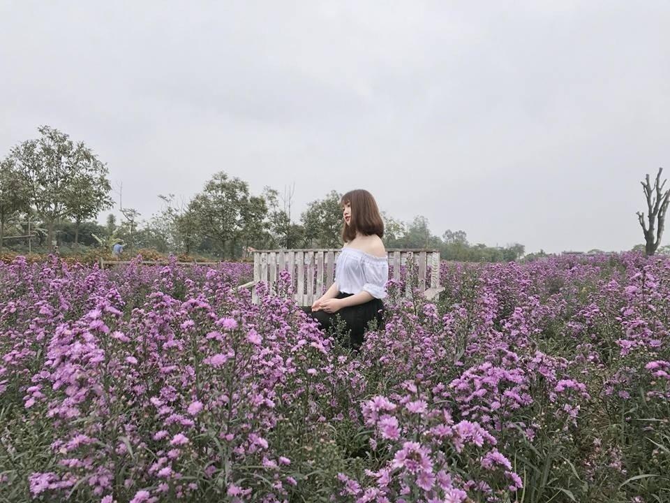 4 cánh đồng cừu ở Việt Nam siêu đáng yêu khiến du khách thích mê - Du lịch Việt Nam - Cánh đồng cừu An Hòa cánh đồng cừu ở Việt Nam Cánh đồng cừu Suối Nghệ Đồng cừu Thảo nguyên hoa Long Biên Trại cừu Đồng Lách 4 cánh đồng cừu ở Việt Nam siêu đáng yêu khiến du khách thích mê - Du lịch Việt Nam - Cánh đồng cừu An Hòa cánh đồng cừu ở Việt Nam Cánh đồng cừu Suối Nghệ Đồng cừu Thảo nguyên hoa Long Biên Trại cừu Đồng Lách