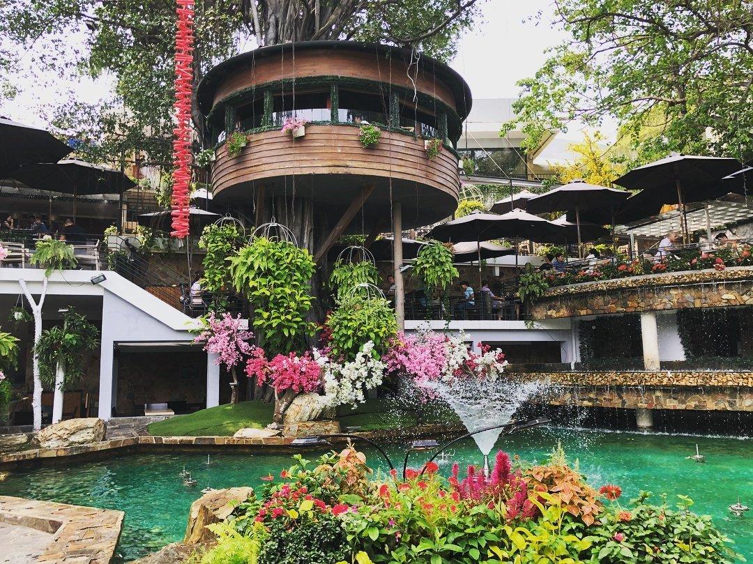 5 quán cà phê sân vườn ở Sài Gòn giúp tránh nóng ngày hè - Du lịch Việt Nam - City Garden Cafe Du Miên Garden Cafe Family Gardens Cafe Miền Thảo Mộc Oasis Cafe quán cà phê ở Sài Gòn quán cà phê sân vườn ở Sài Gòn 5 quán cà phê sân vườn ở Sài Gòn giúp tránh nóng ngày hè - Du lịch Việt Nam - City Garden Cafe Du Miên Garden Cafe Family Gardens Cafe Miền Thảo Mộc Oasis Cafe quán cà phê ở Sài Gòn quán cà phê sân vườn ở Sài Gòn