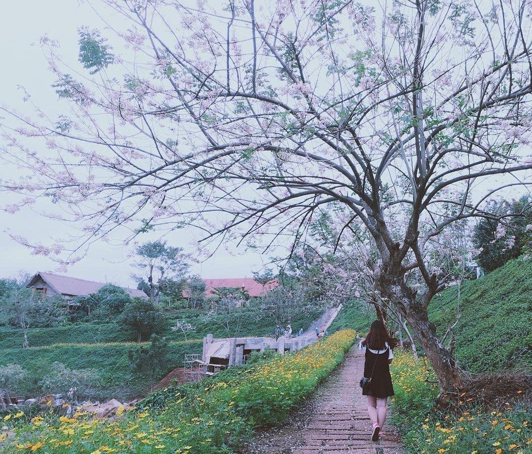 6 địa điểm du lịch Buôn Ma Thuột mới lạ và hấp dẫn - Du lịch Việt Nam - Bảo tàng Đăk Lăk Bảo tàng Thế giới Cà phê du lịch Buôn Ma Thuột địa điểm du lịch Buôn Ma Thuột Đường sách cà phê Khu du lịch Kotam Làng cà phê Trung Nguyên Thác Dray Sap Dray Nur 6 địa điểm du lịch Buôn Ma Thuột mới lạ và hấp dẫn - Du lịch Việt Nam - Bảo tàng Đăk Lăk Bảo tàng Thế giới Cà phê du lịch Buôn Ma Thuột địa điểm du lịch Buôn Ma Thuột Đường sách cà phê Khu du lịch Kotam Làng cà phê Trung Nguyên Thác Dray Sap Dray Nur