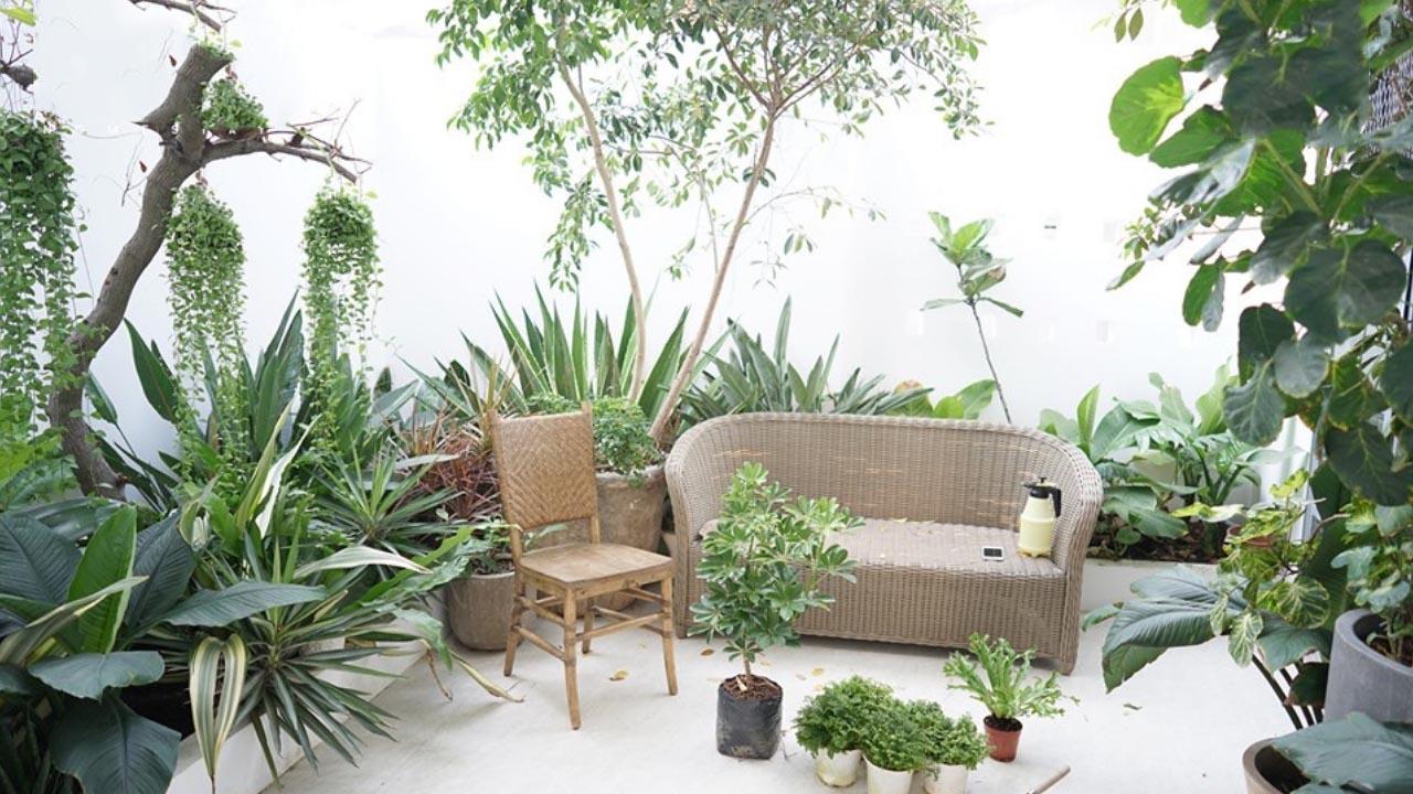 5 homestay ở Ninh Thuận đẹp và chất lừ cực hút khách - Du lịch Việt Nam - BigDog Homestay du lịch Ninh Thuận Eco Chi Homestay homestay ở Ninh Thuận homestay ở Ninh Thuận đẹp Liti Homestay Peace Home Sea Urchin Homestay 5 homestay ở Ninh Thuận đẹp và chất lừ cực hút khách - Du lịch Việt Nam - BigDog Homestay du lịch Ninh Thuận Eco Chi Homestay homestay ở Ninh Thuận homestay ở Ninh Thuận đẹp Liti Homestay Peace Home Sea Urchin Homestay